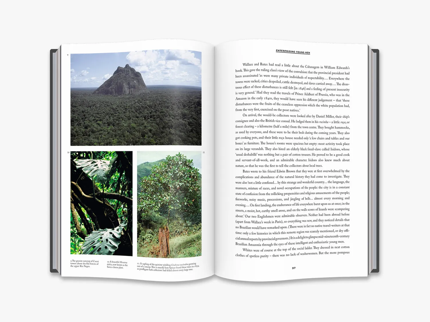 Thames & Hudson Naturalists in Paradise fagbog Amazonas