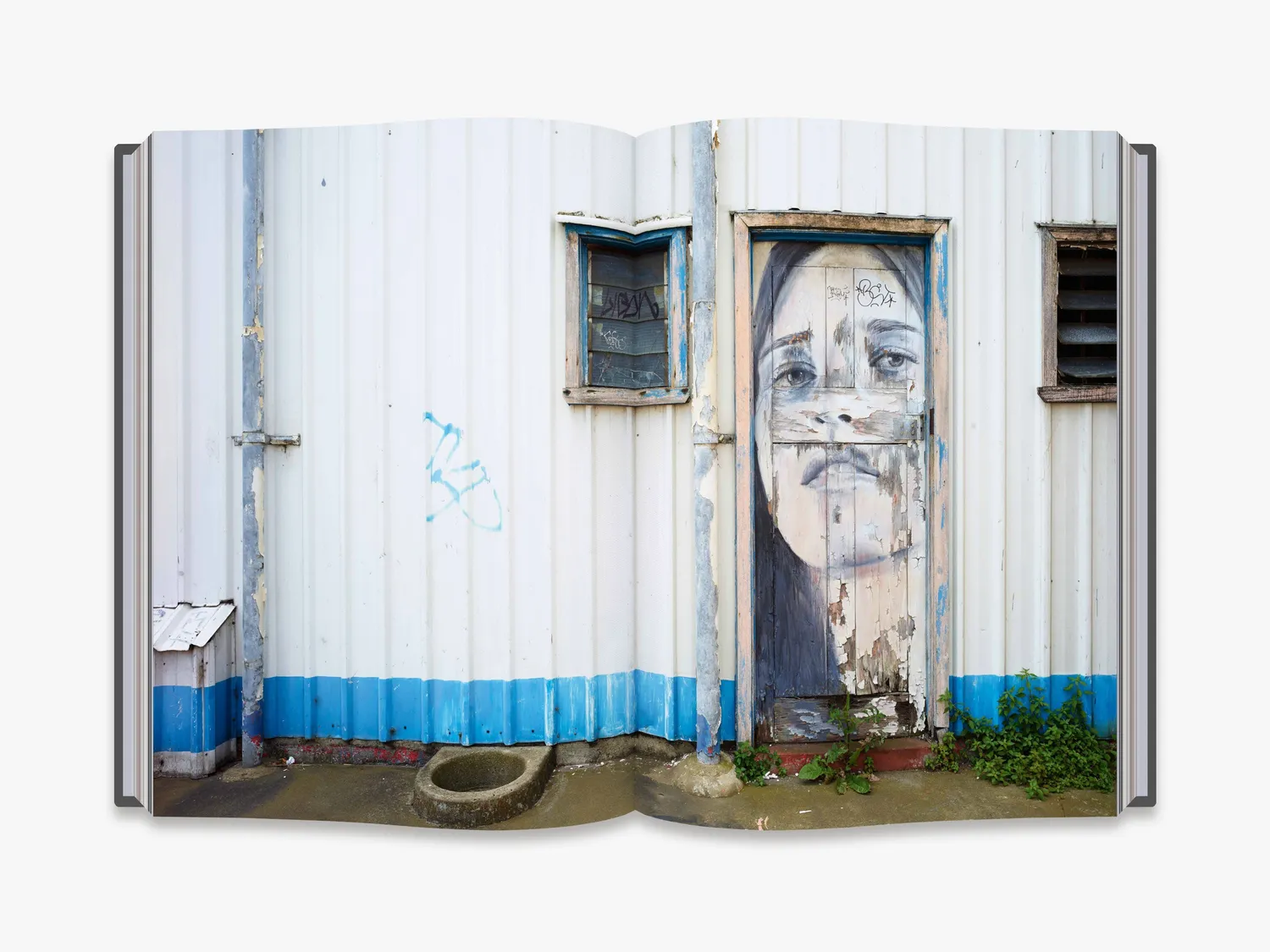 Thames & Hudson Rone Street Art and Beyond bog street art
