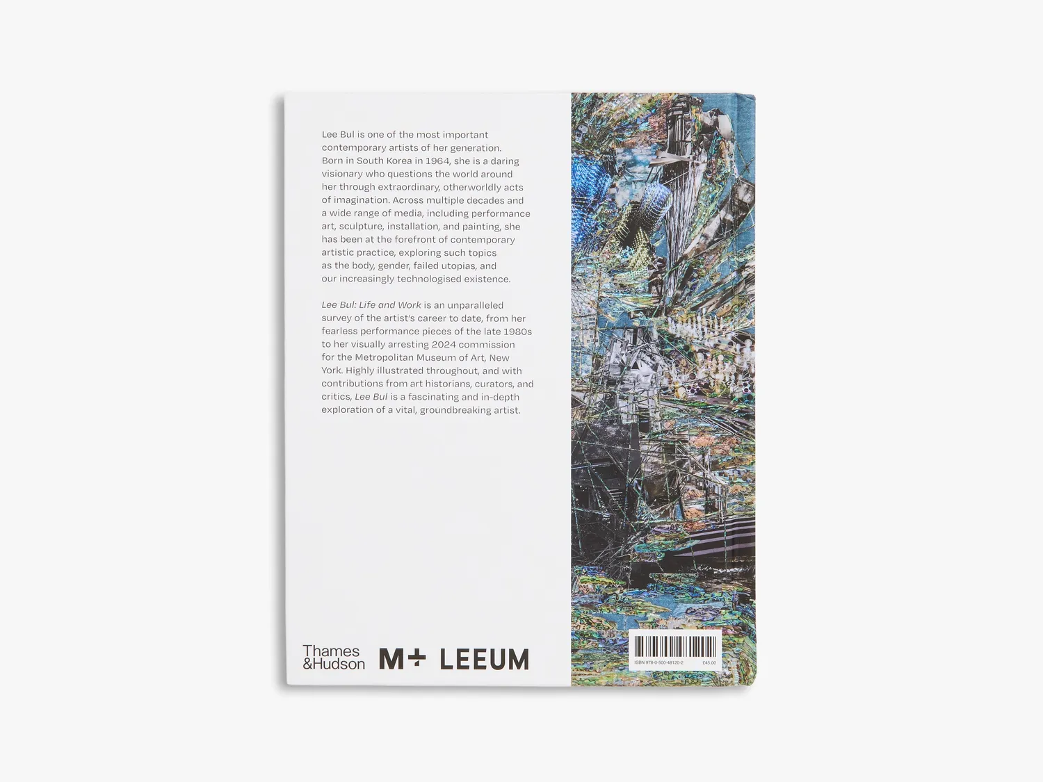 Thames & Hudson Lee Bul bog – samtidskunstner