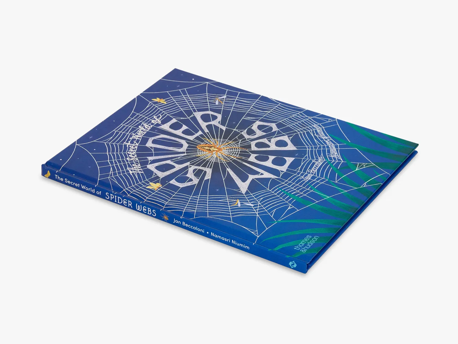 Thames & Hudson Secret World of Spider Webs fagbog edderkop