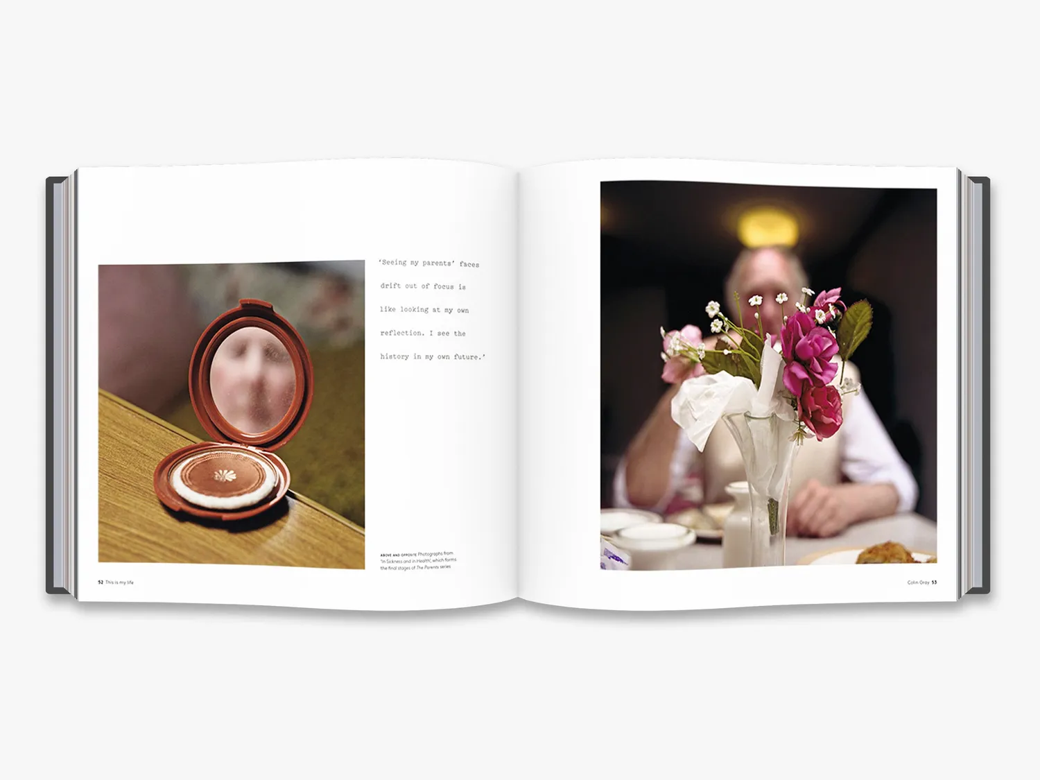 Thames & Hudson Family Photography Now fotobog familier