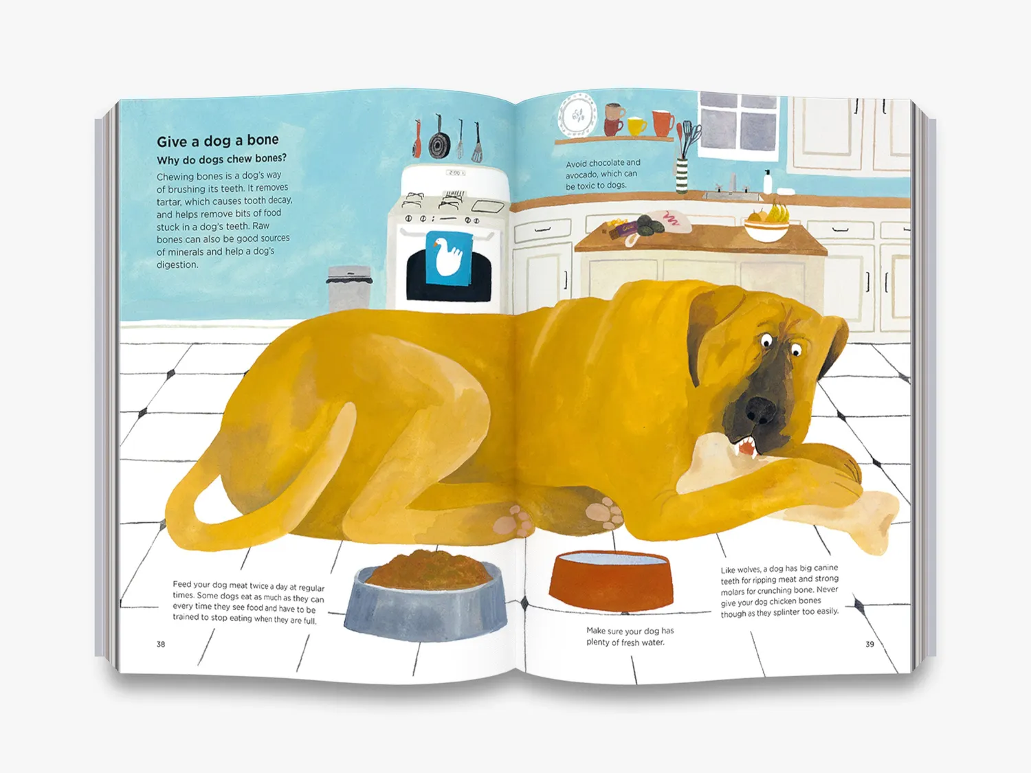 Thames & Hudson Why Do Dogs Sniff Bottoms hundebog børn