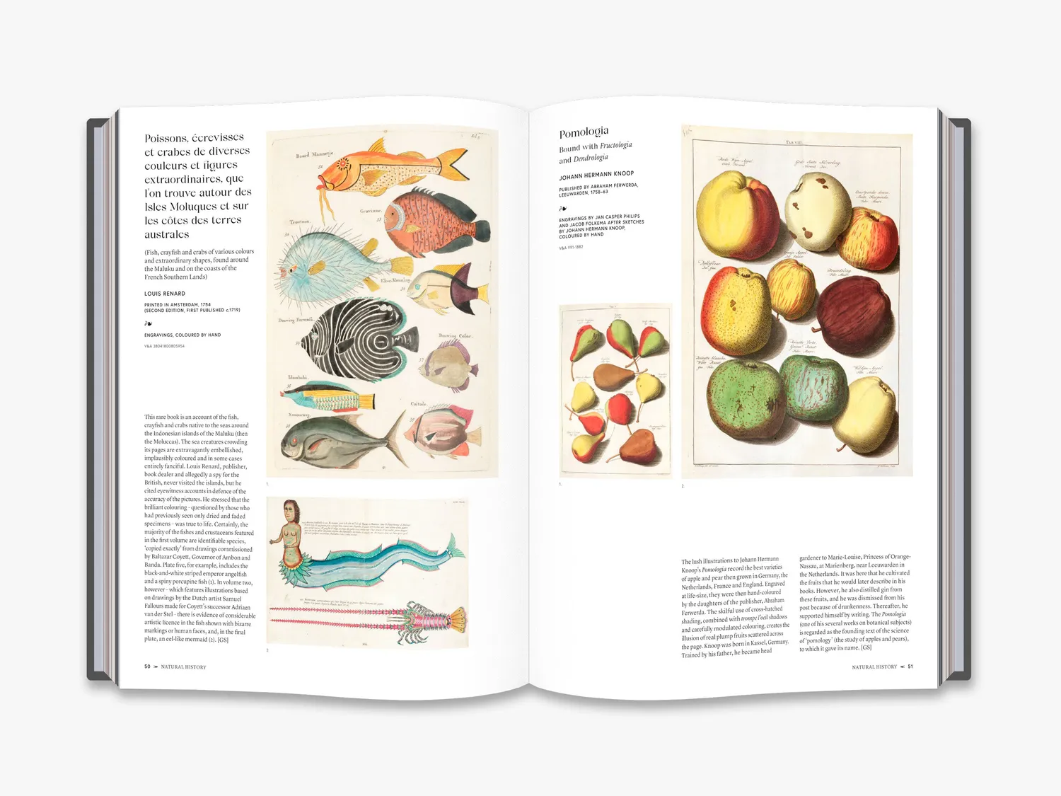 Thames & Hudson Art of the Illustrated Book bog V&A