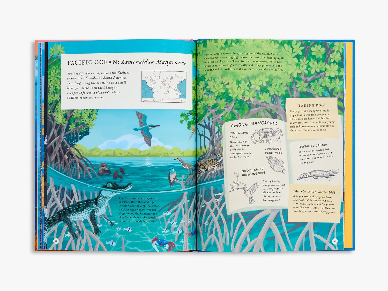 Thames & Hudson There's an Ocean in This Book børnebog om havet