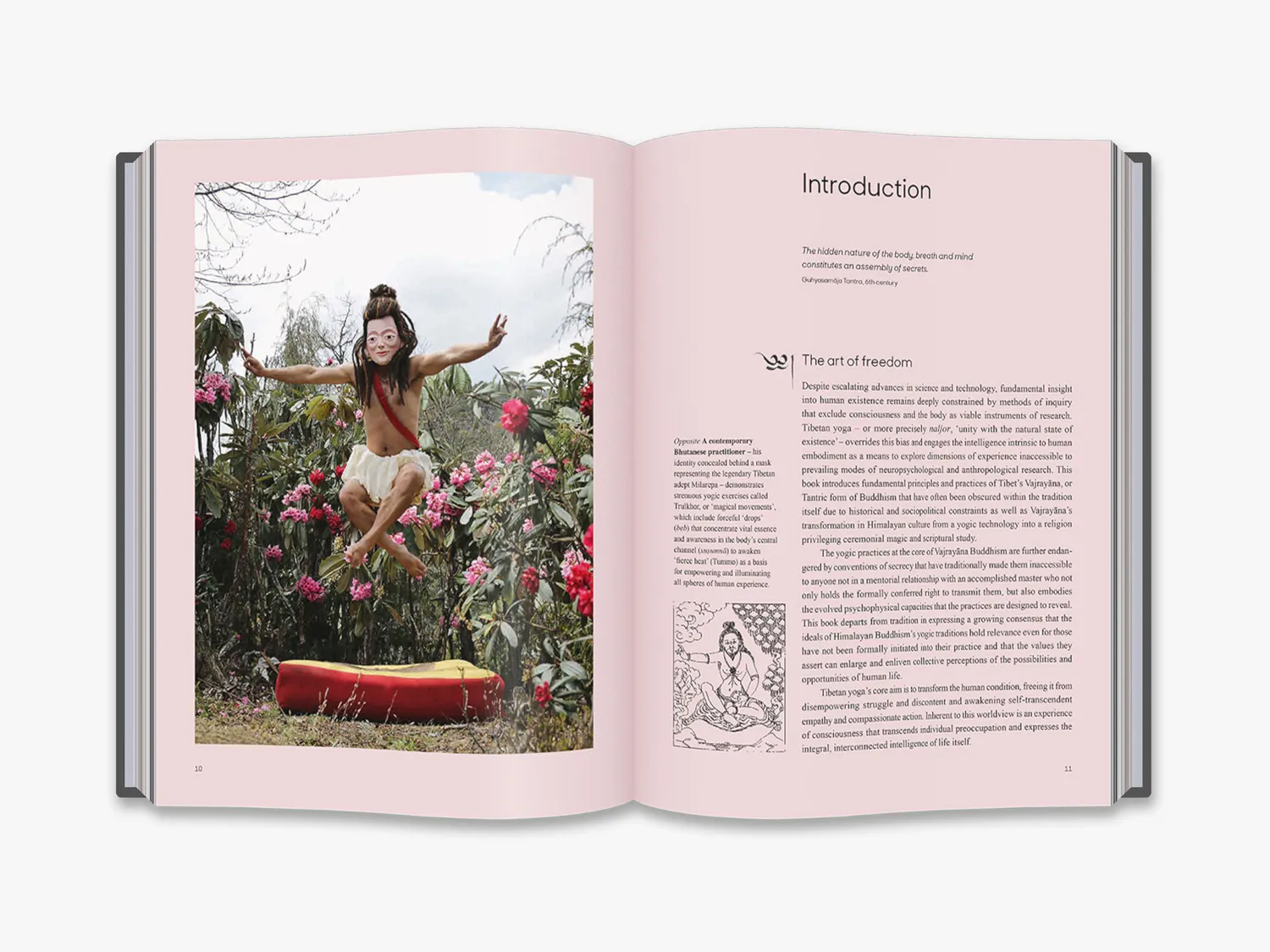 Thames & Hudson Tibetan Yoga bog af Ian A. Baker