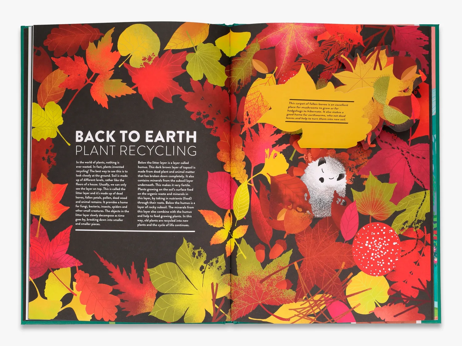Thames & Hudson Plant Life bog illustreret fakta