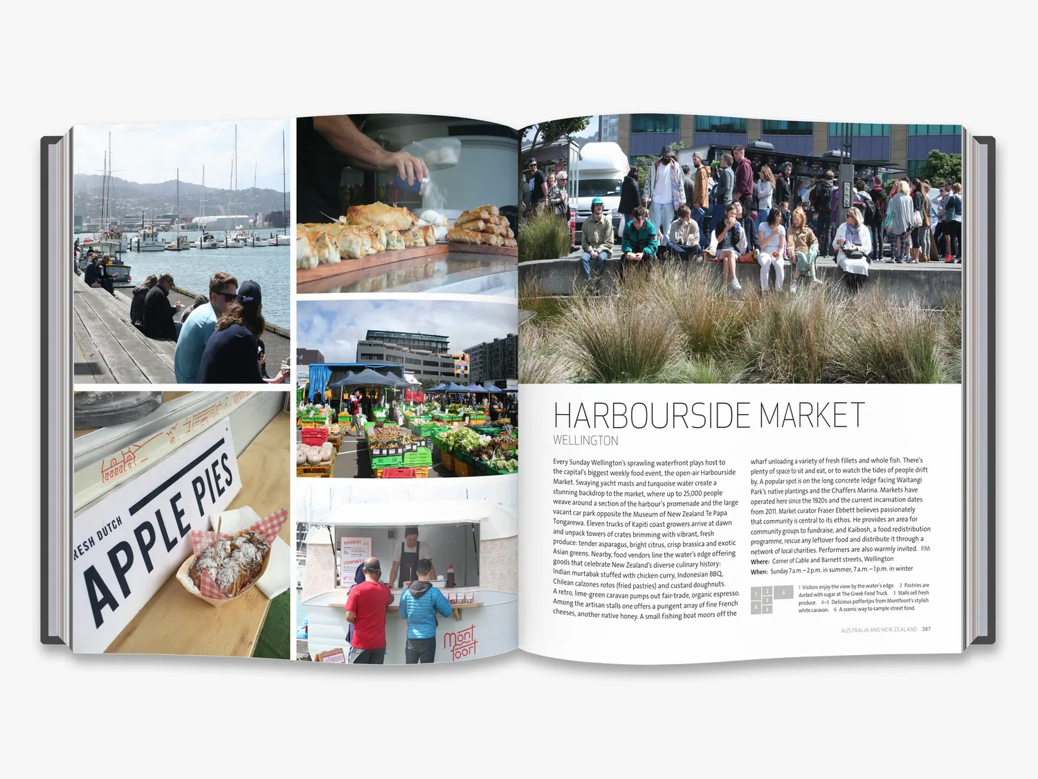 Thames & Hudson The World Atlas of Street Food kogebog illustreret