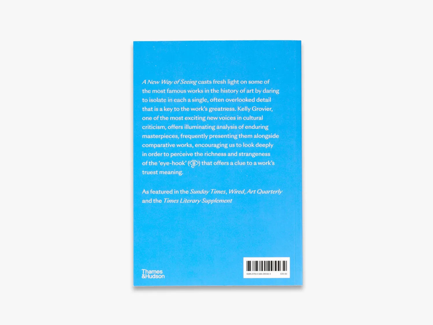 Thames & Hudson A New Way of Seeing bog om kunst