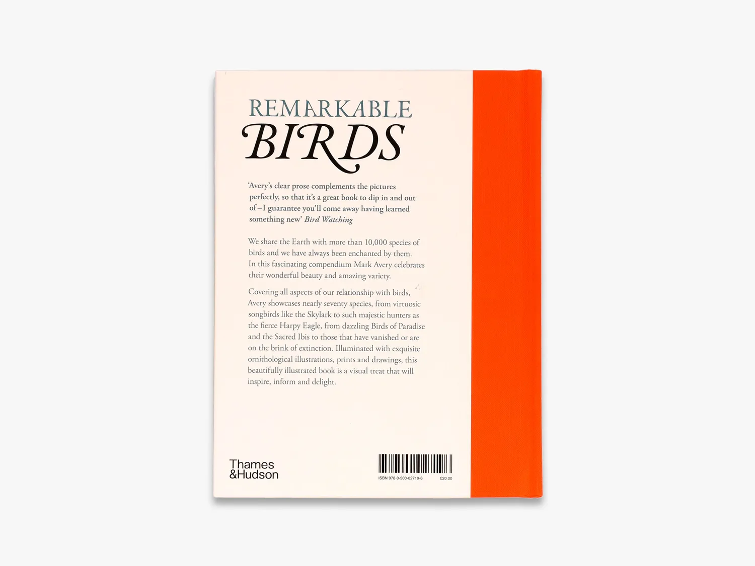 Thames & Hudson Remarkable Birds bog – fugle illustreret
