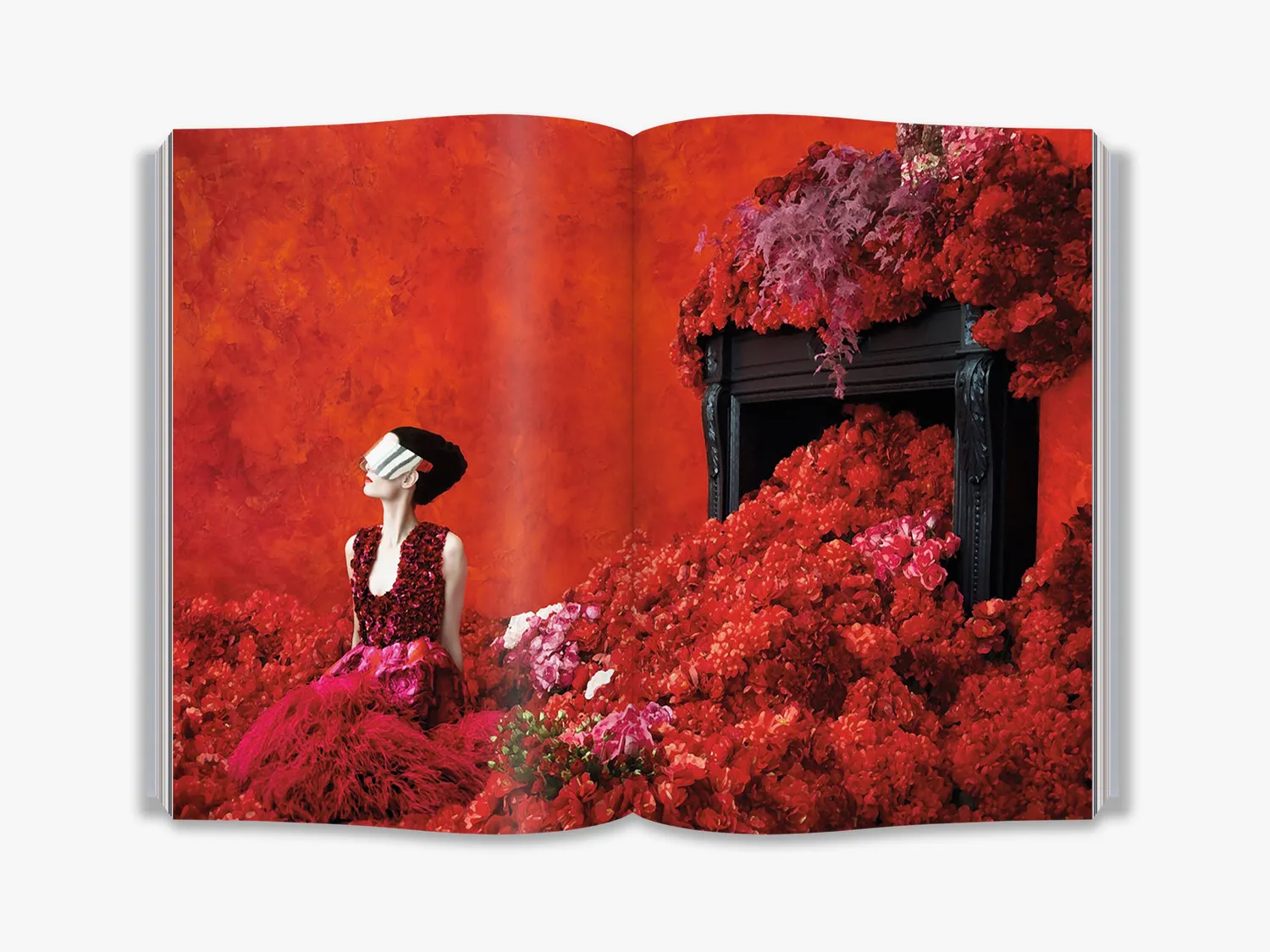 Thames & Hudson Fashion Photography Next fotobog