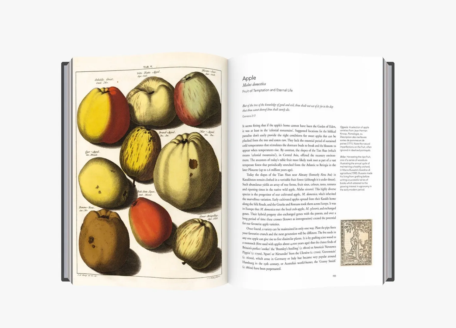 Thames & Hudson Remarkable Plants That Shape Our World bog