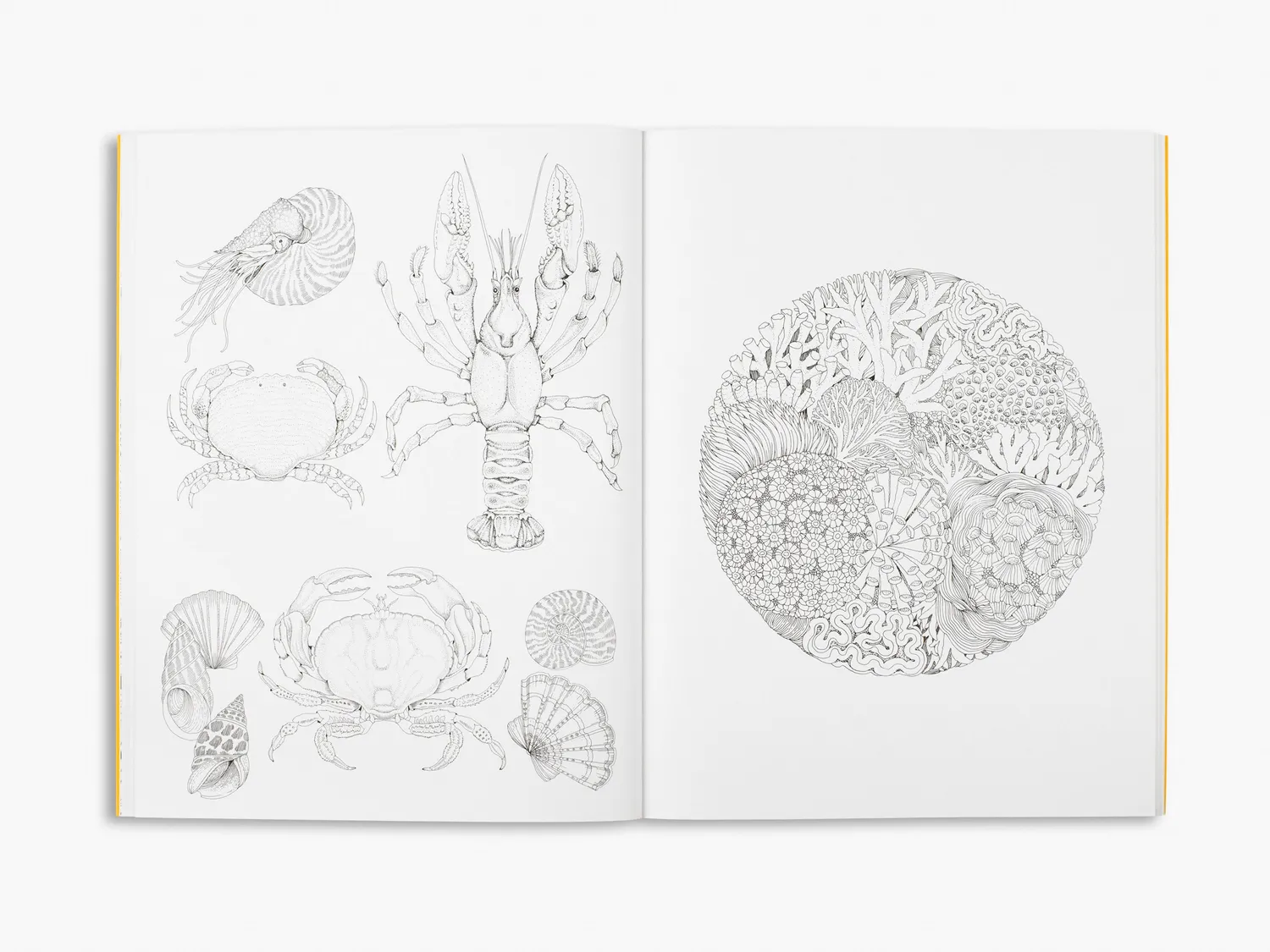 Thames & Hudson Beautiful Planet malebog af Leila Duly