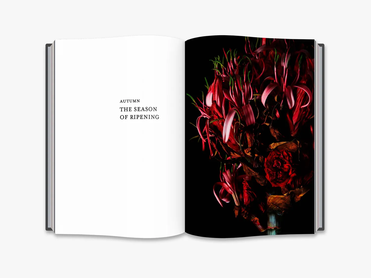 Thames & Hudson Flora Magnifica fotobog – blomster i årstider