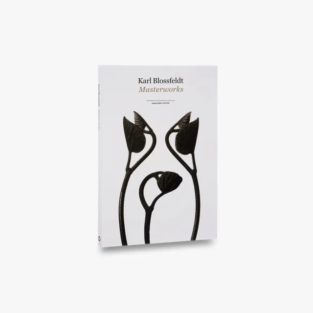 Thames & Hudson Karl Blossfeldt Masterworks fotobog planter