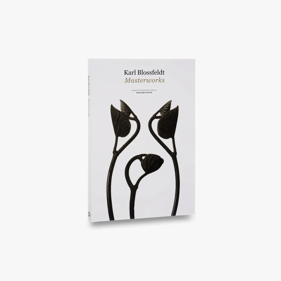 Thames & Hudson Karl Blossfeldt Masterworks fotobog planter