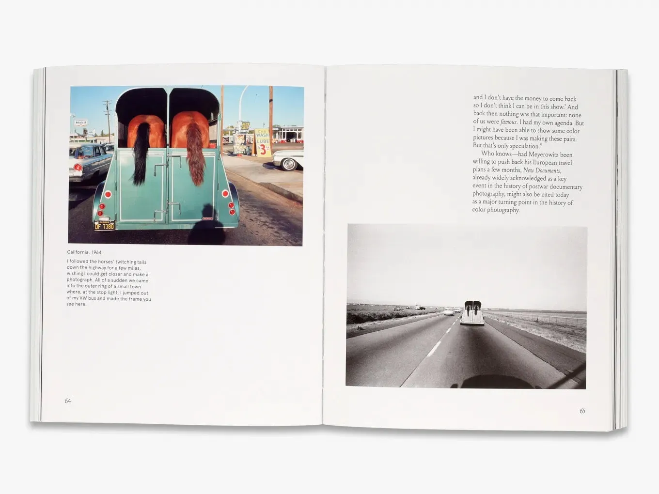 Thames & Hudson Meyerowitz A Question of Color fotobog