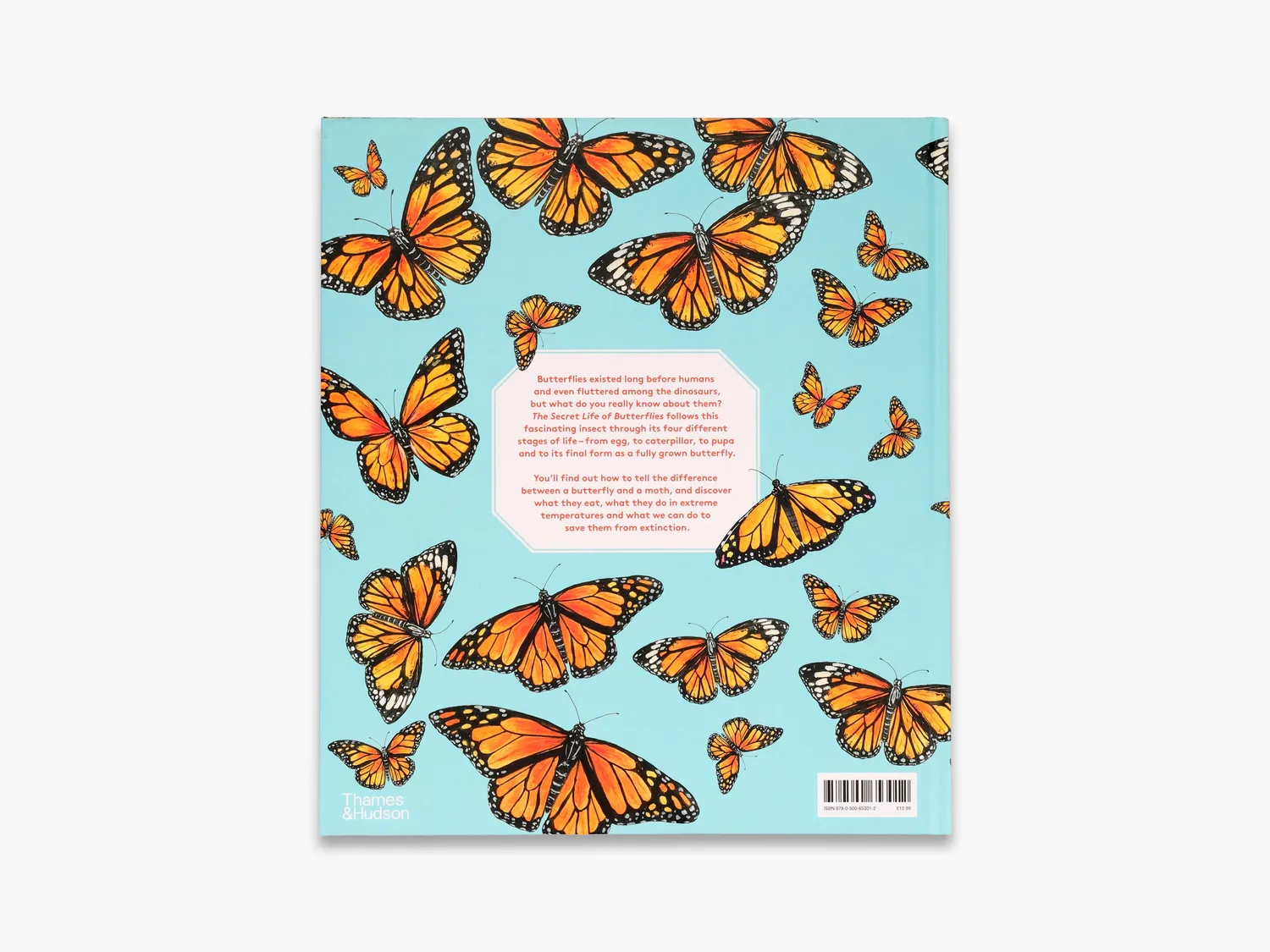 Thames & Hudson Secret Life of Butterflies bog sommerfugle