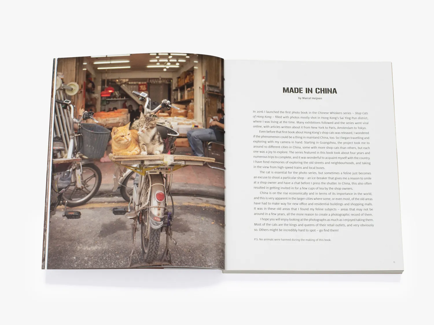 Thames & Hudson Shop Cats of China fotobog katte