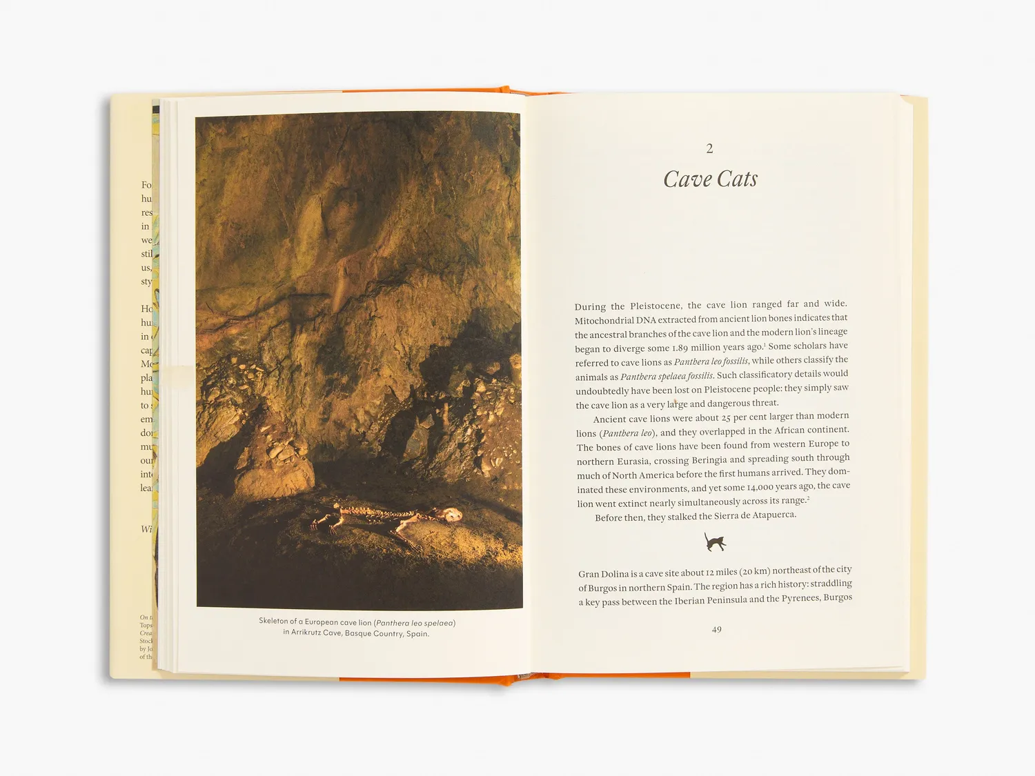 Thames & Hudson Cat Tales fagbog om katte