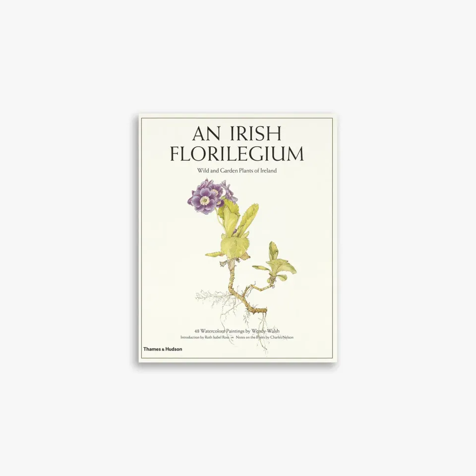 Thames & Hudson An Irish Florilegium bog botanik