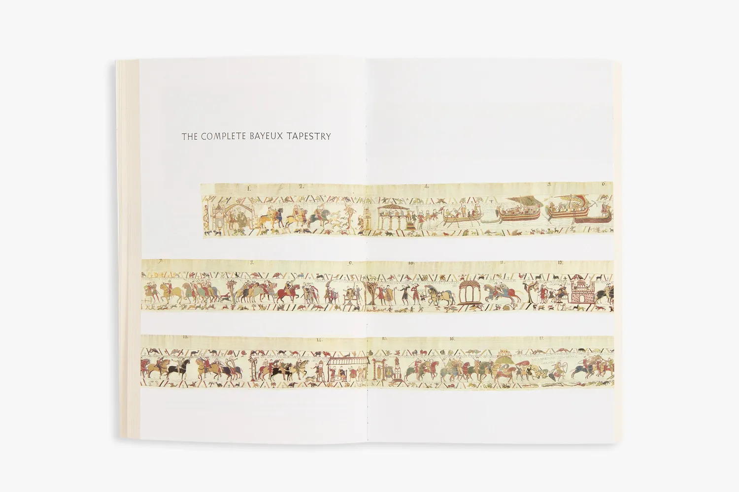 Thames & Hudson The Story of the Bayeux Tapestry bog