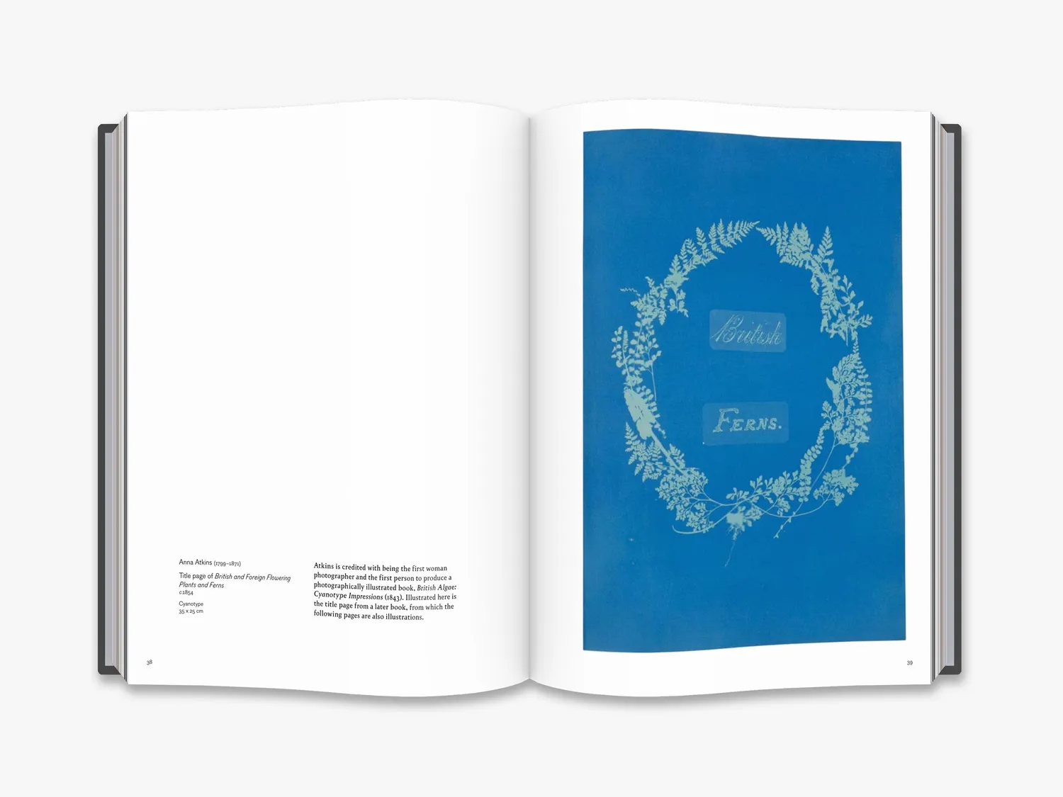 Thames & Hudson Cameraless Photography fotobog