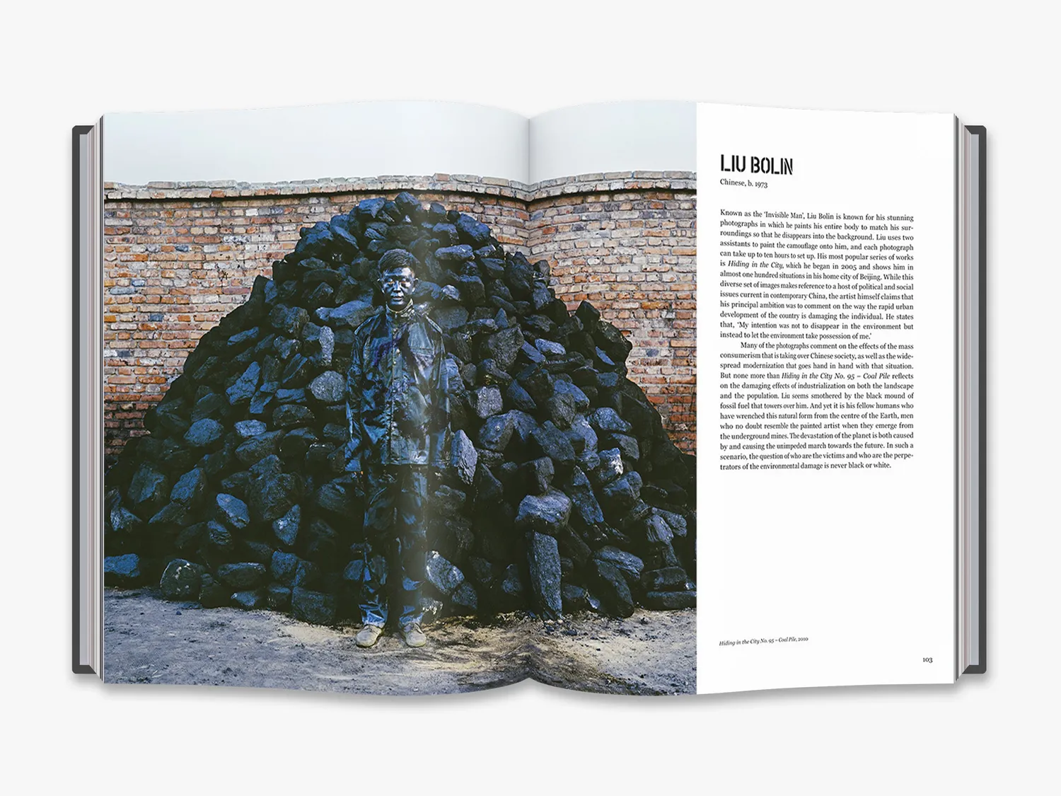 Thames & Hudson Art & Ecology Now fagbog om klimakunst