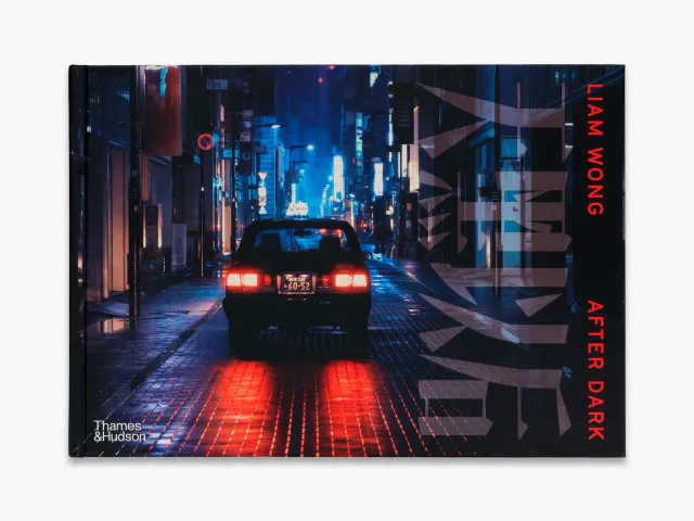 Thames & Hudson Liam Wong After Dark fotobog nattebyer