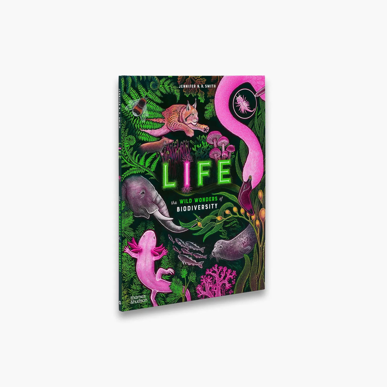 Wild Wonders Life børnebog biodiversitet Smith