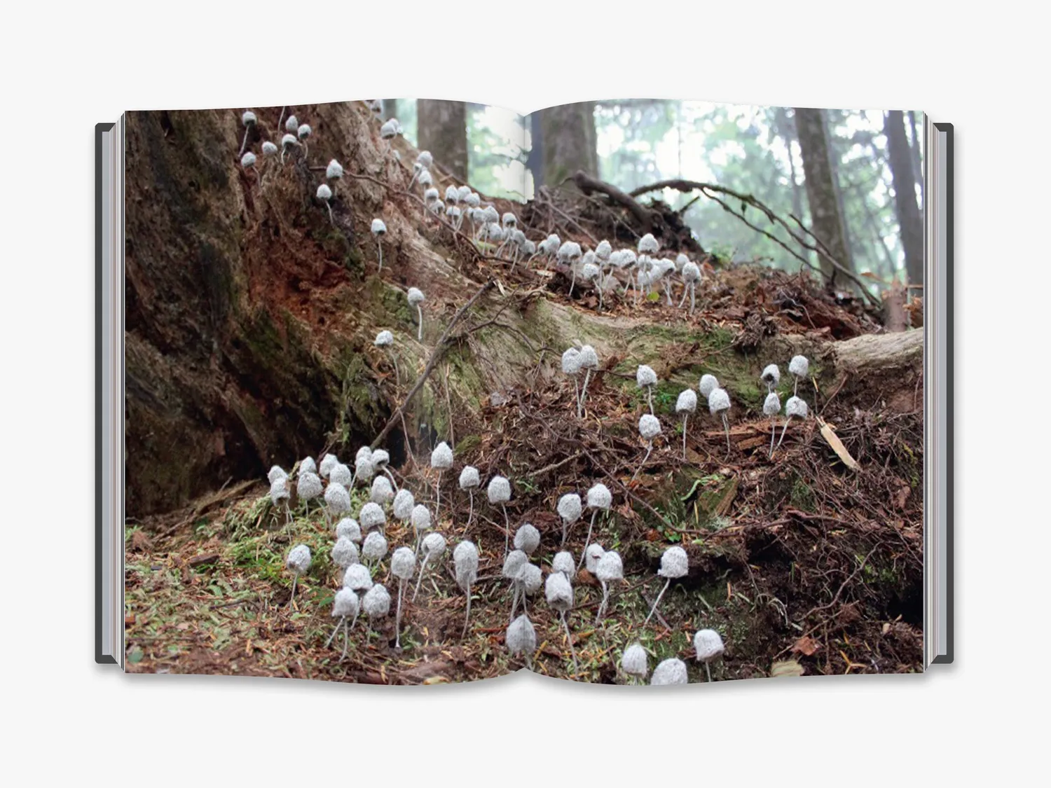 Thames & Hudson Unravelled bog strikkekunst