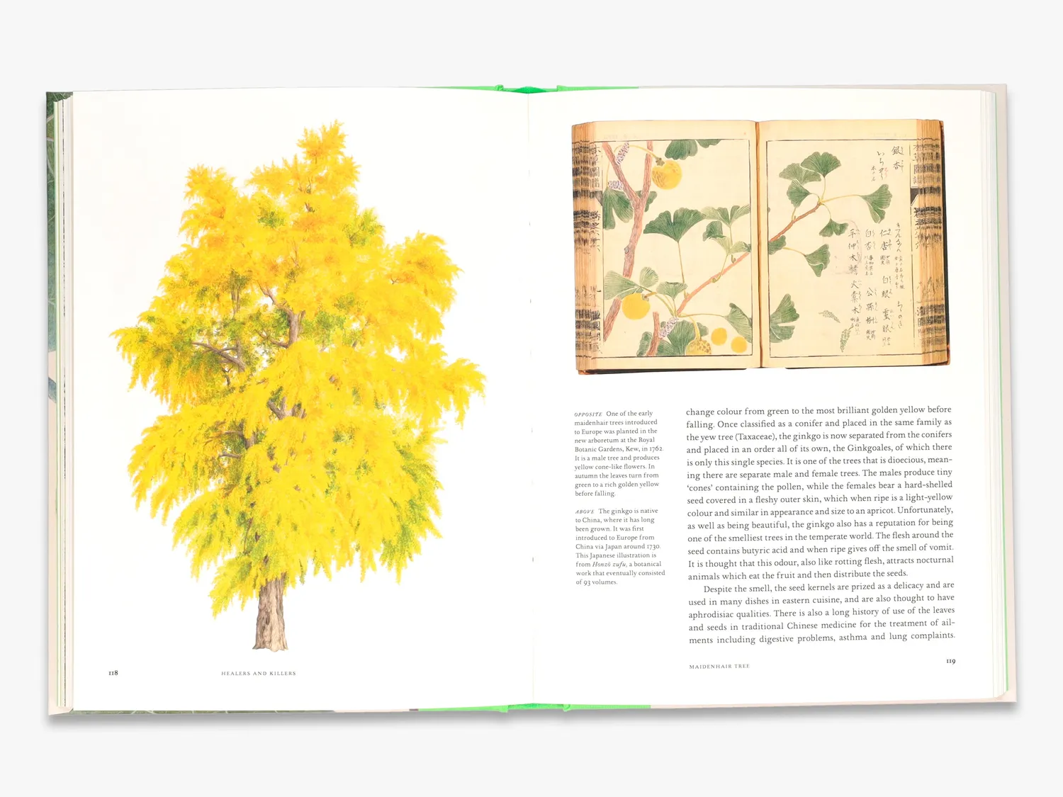Thames & Hudson Remarkable Trees bog om træer