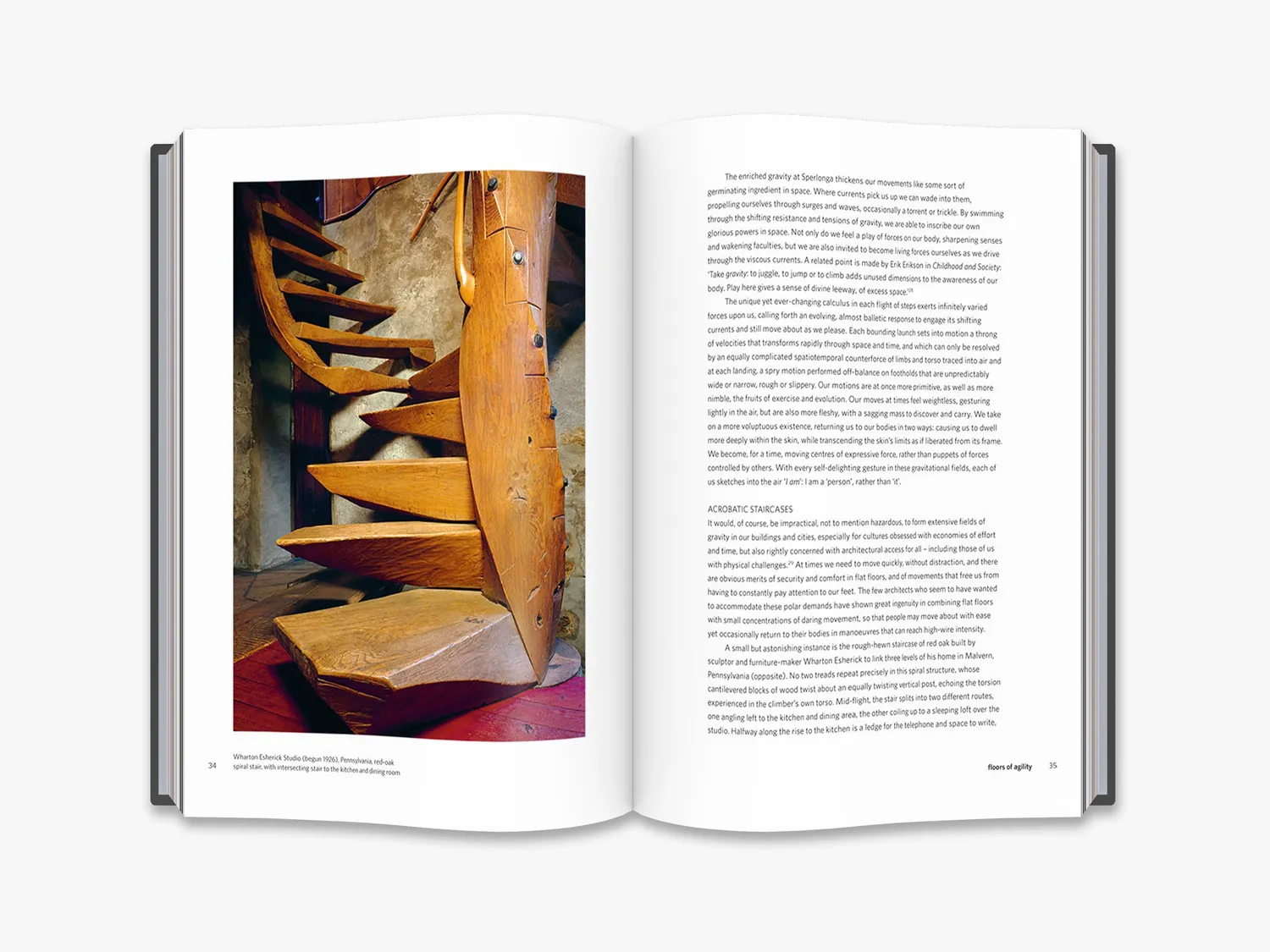 Thames & Hudson The Experience of Architecture bog