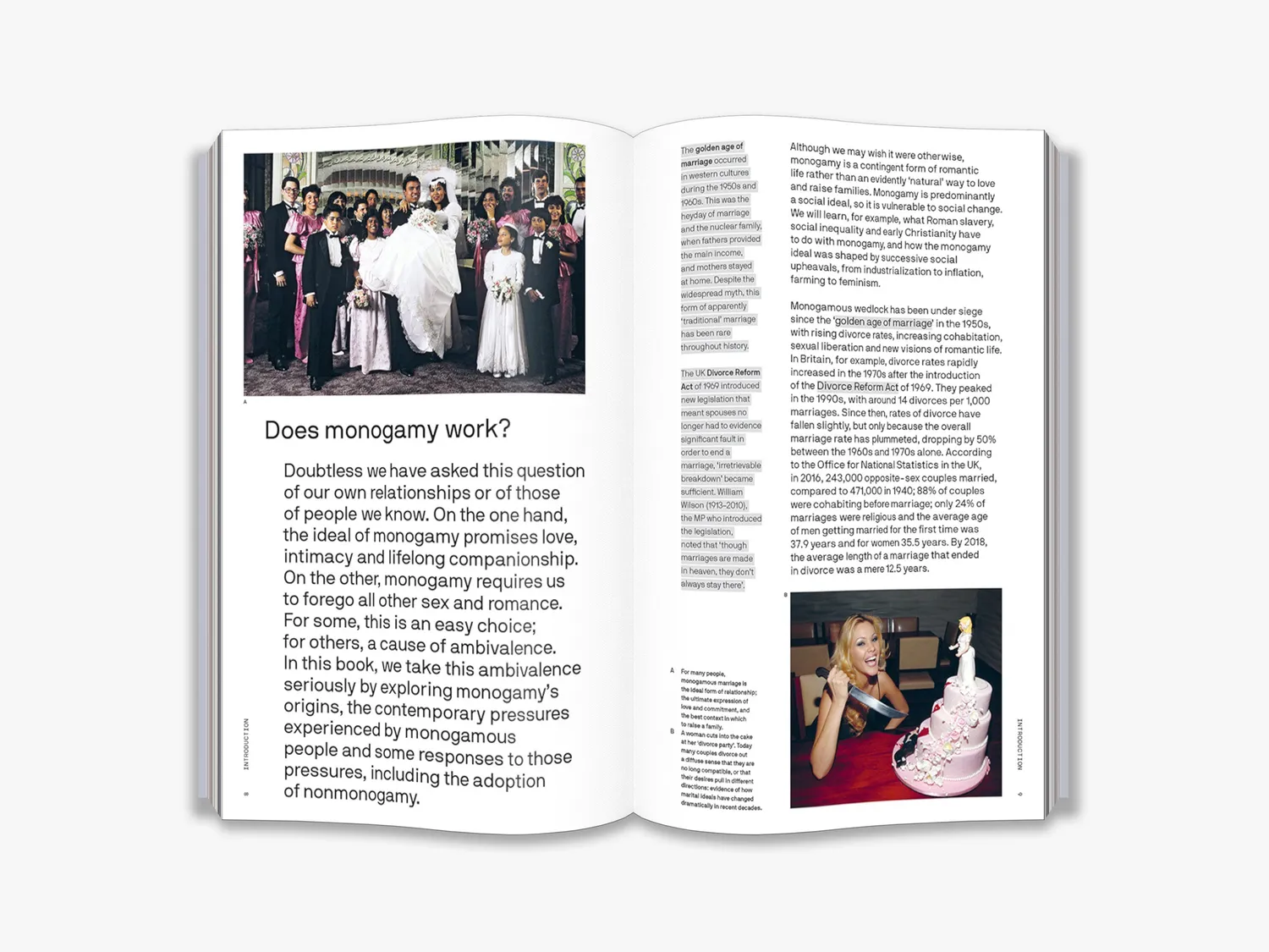 Thames & Hudson Does Monogamy Work bog monogami