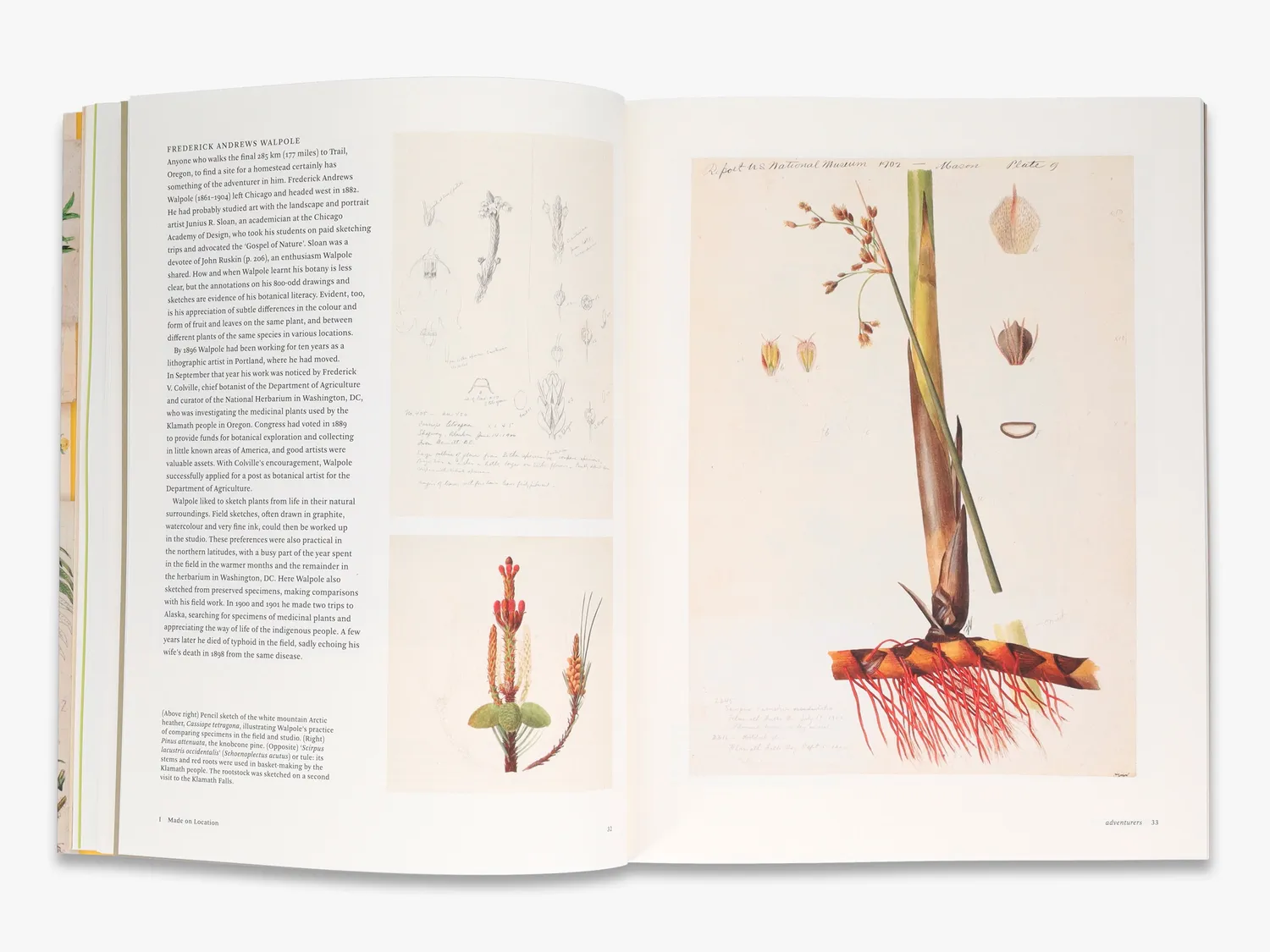 Thames & Hudson Botanical Sketchbooks fagbog illustreret