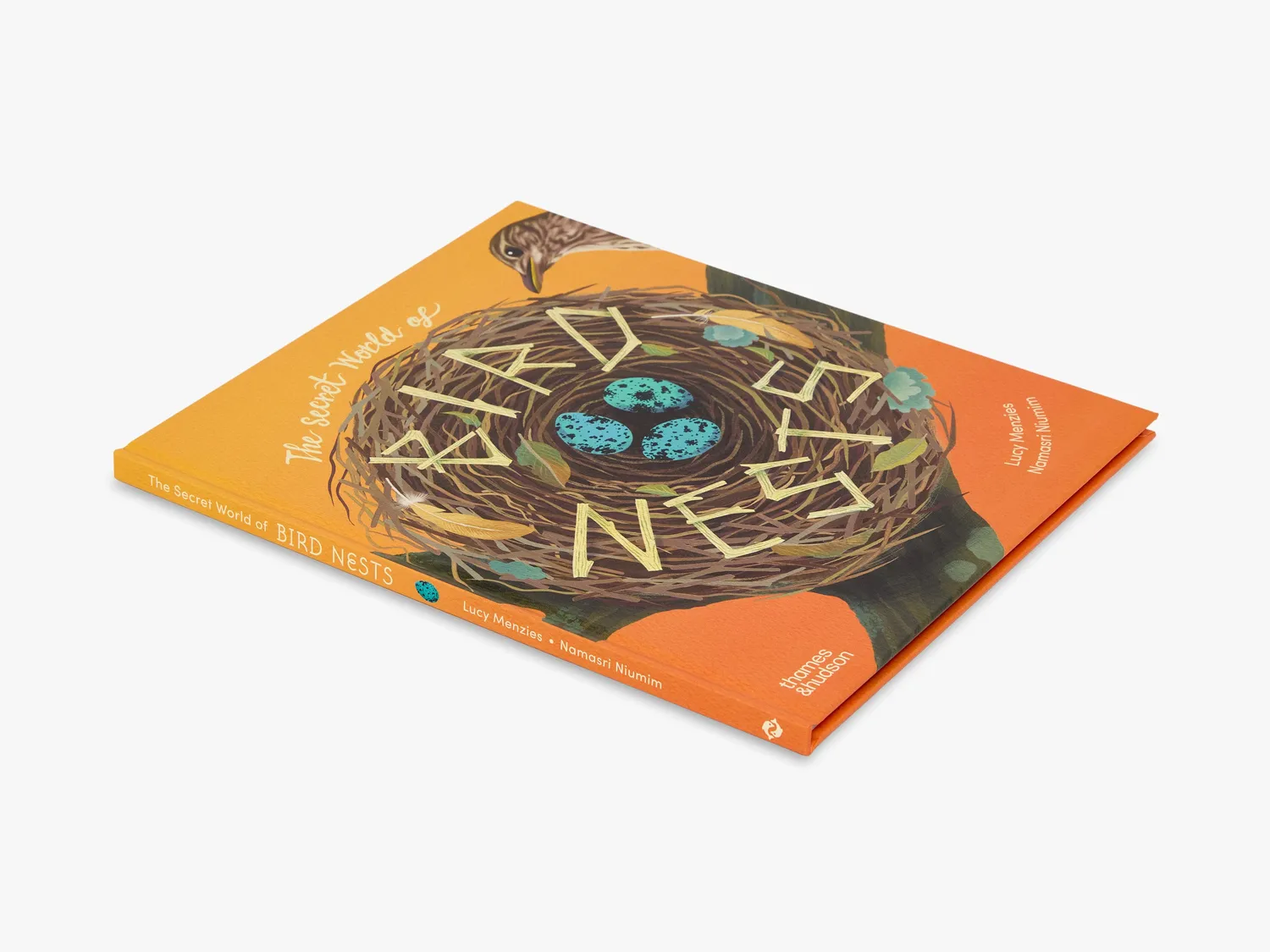 Thames & Hudson Secret World Bird Nests børnebog illustreret