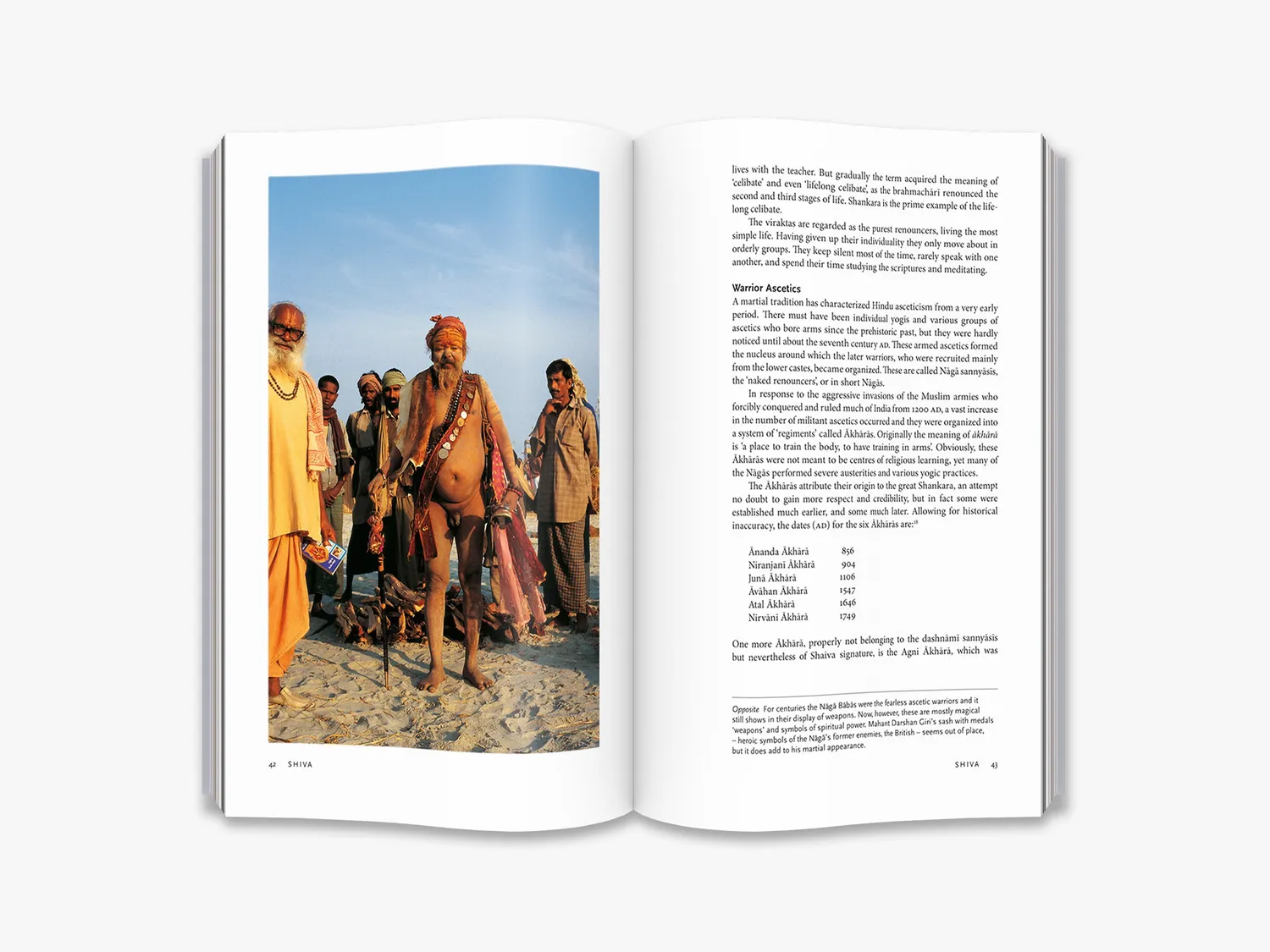 Thames & Hudson Sadhus fagbog Indien foto