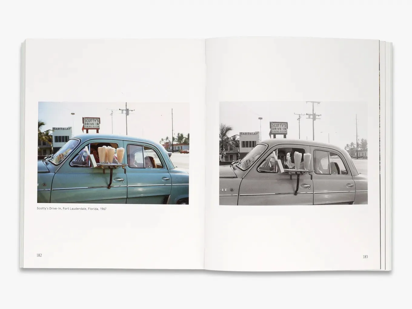 Thames & Hudson Meyerowitz A Question of Color fotobog