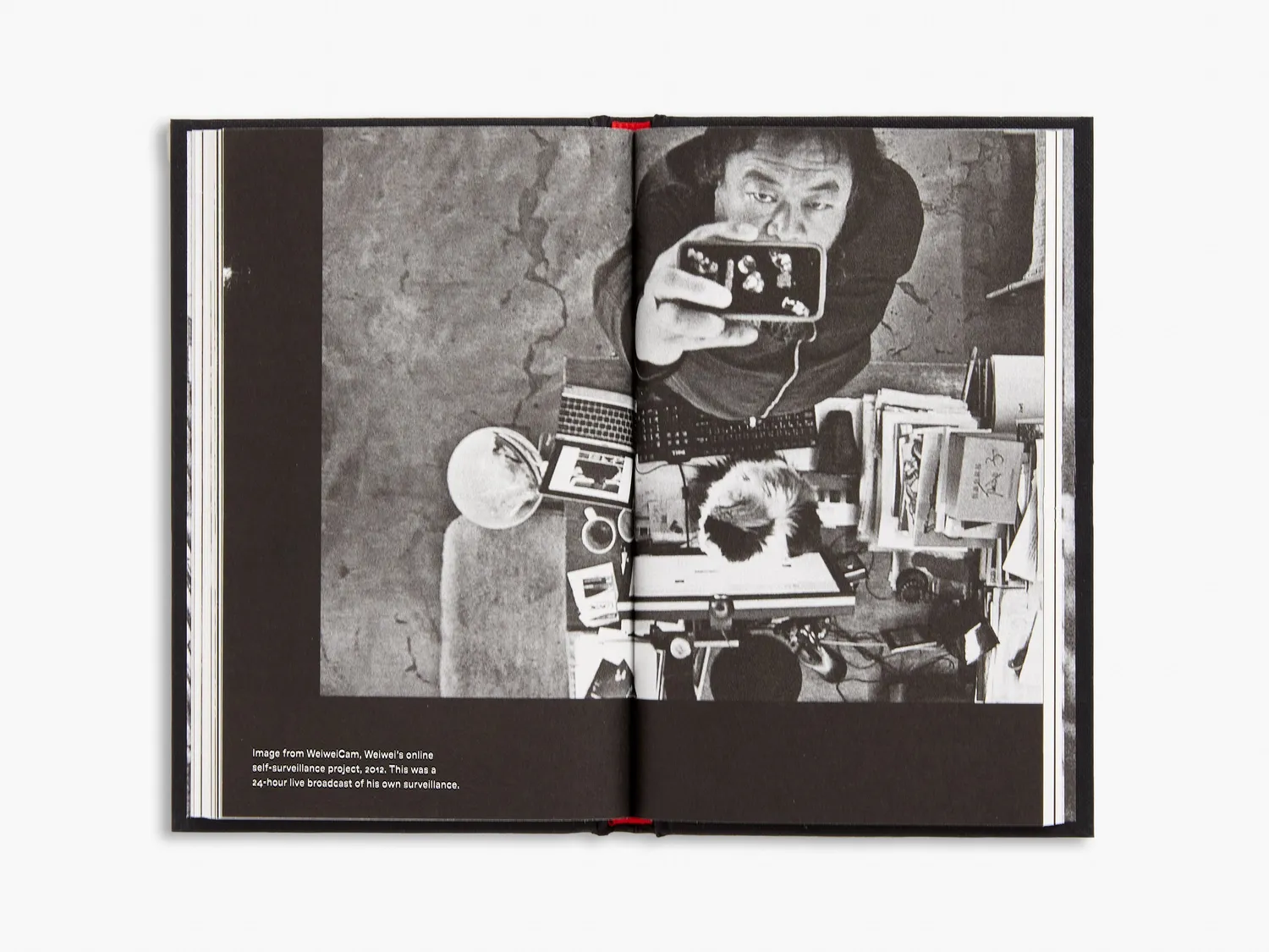 Thames & Hudson Ai Weiwei on Censorship læsebog ytringsfrihed