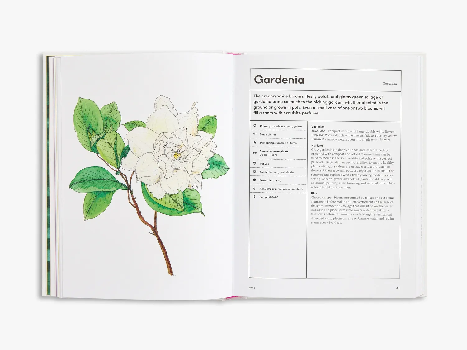 Thames & Hudson The Picking Garden bog blomsterdyrkning