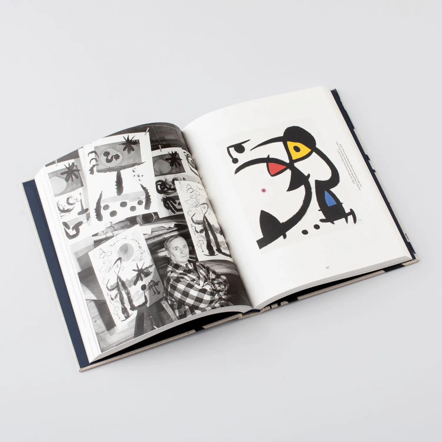 Museum Jorn Miró og Jorn bog 272 sider illustreret