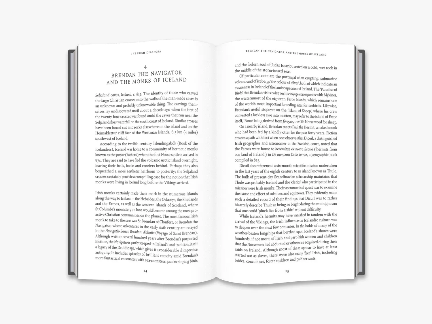 Thames & Hudson The Irish Diaspora historiebog udvandring