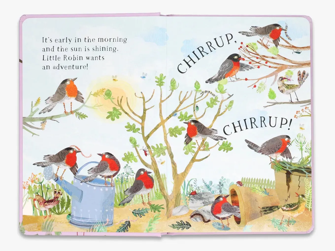 The Big Book Little Robin's Book of Birds papbog fugle