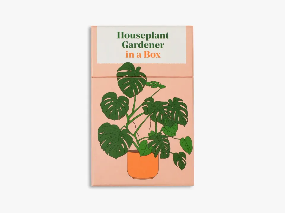 Thames & Hudson Houseplant Gardener in a Box kortbox