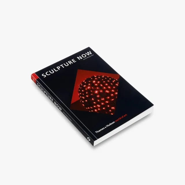 Thames & Hudson World of Art Sculpture Now bog om moderne skulptur