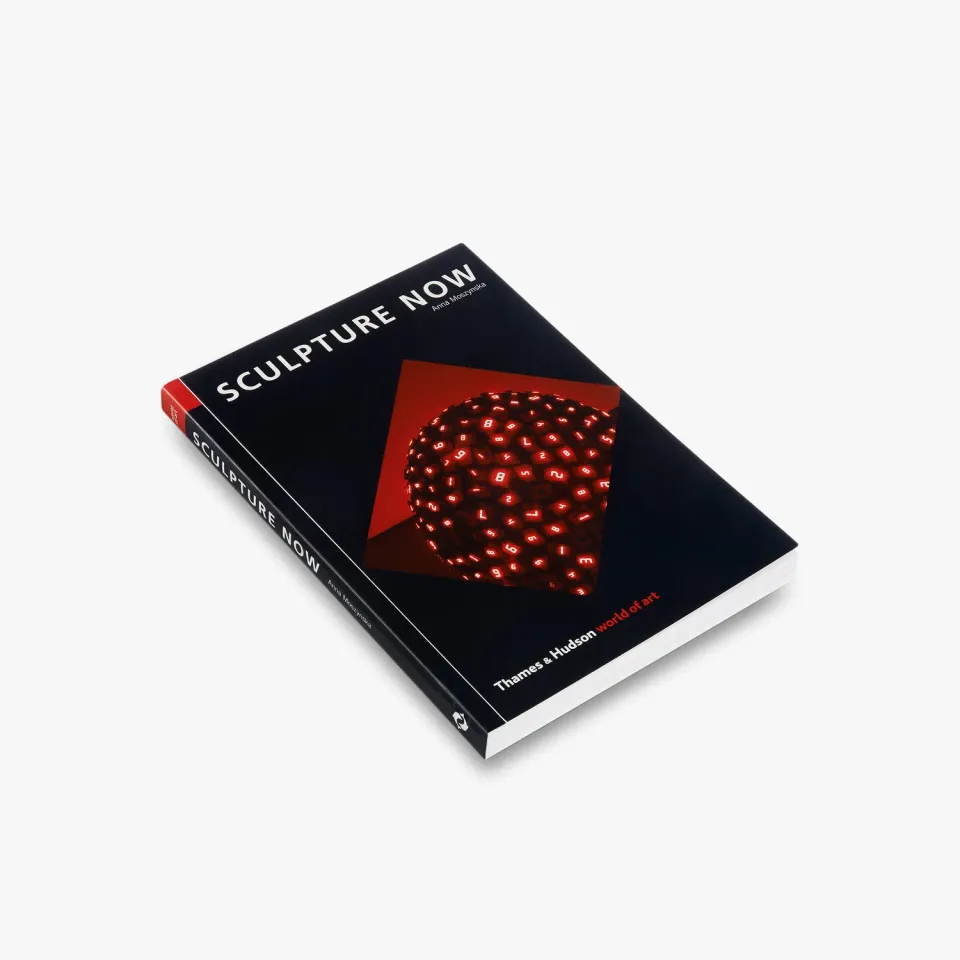 Thames & Hudson World of Art Sculpture Now bog om moderne skulptur