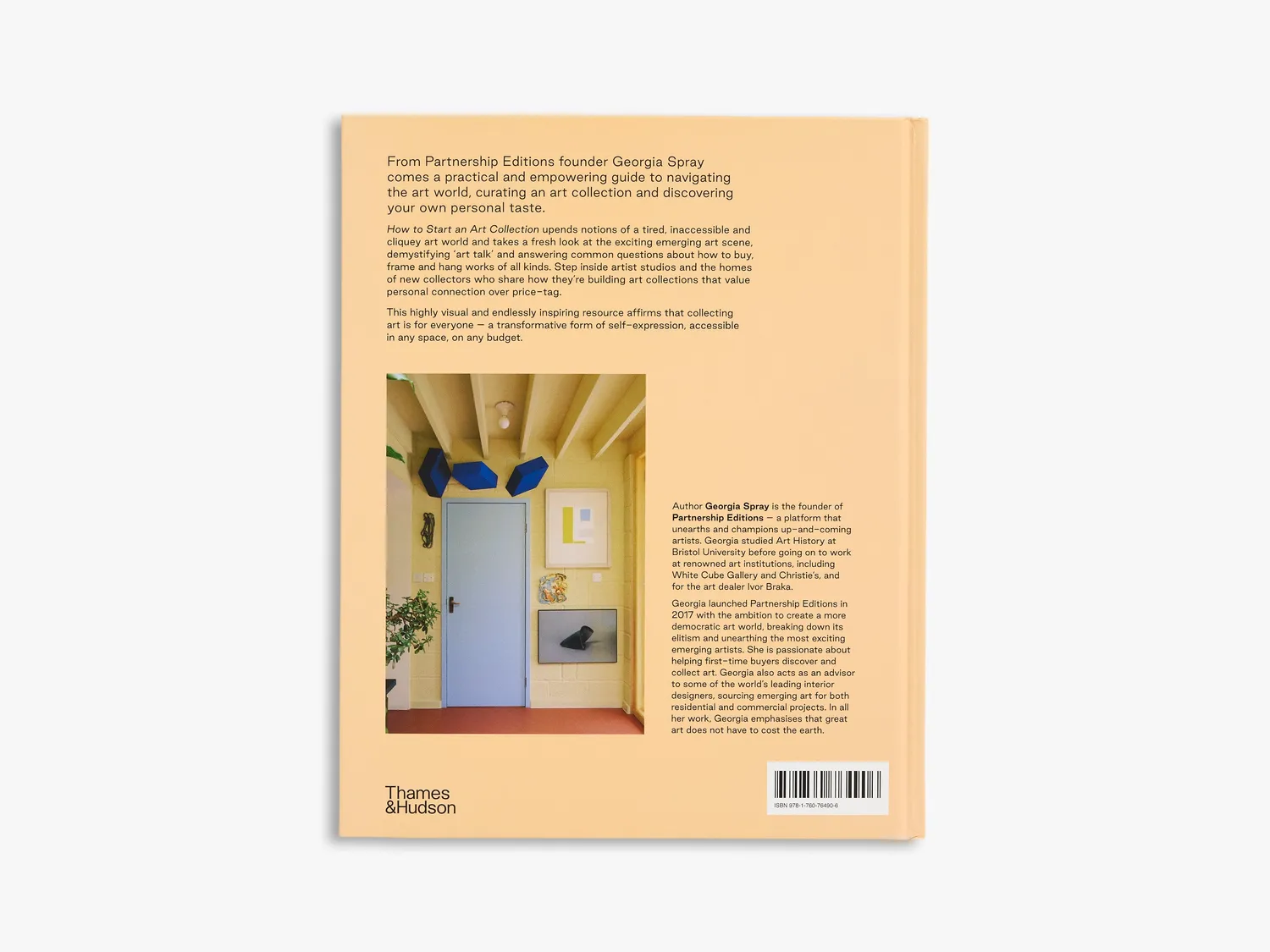 Thames & Hudson How to Start an Art Collection kunstbog