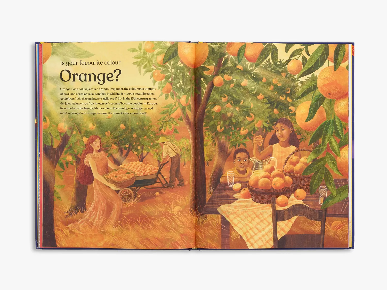 Thames & Hudson The Mystery of Colour børnebog – farver