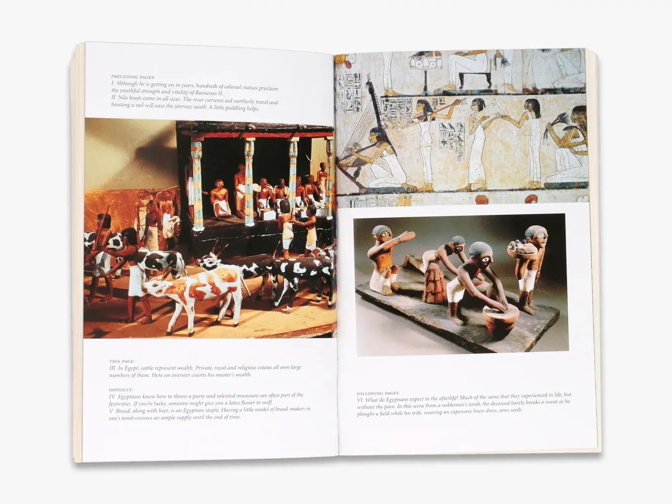 Thames & Hudson Ancient Egypt on Five Deben a Day bog