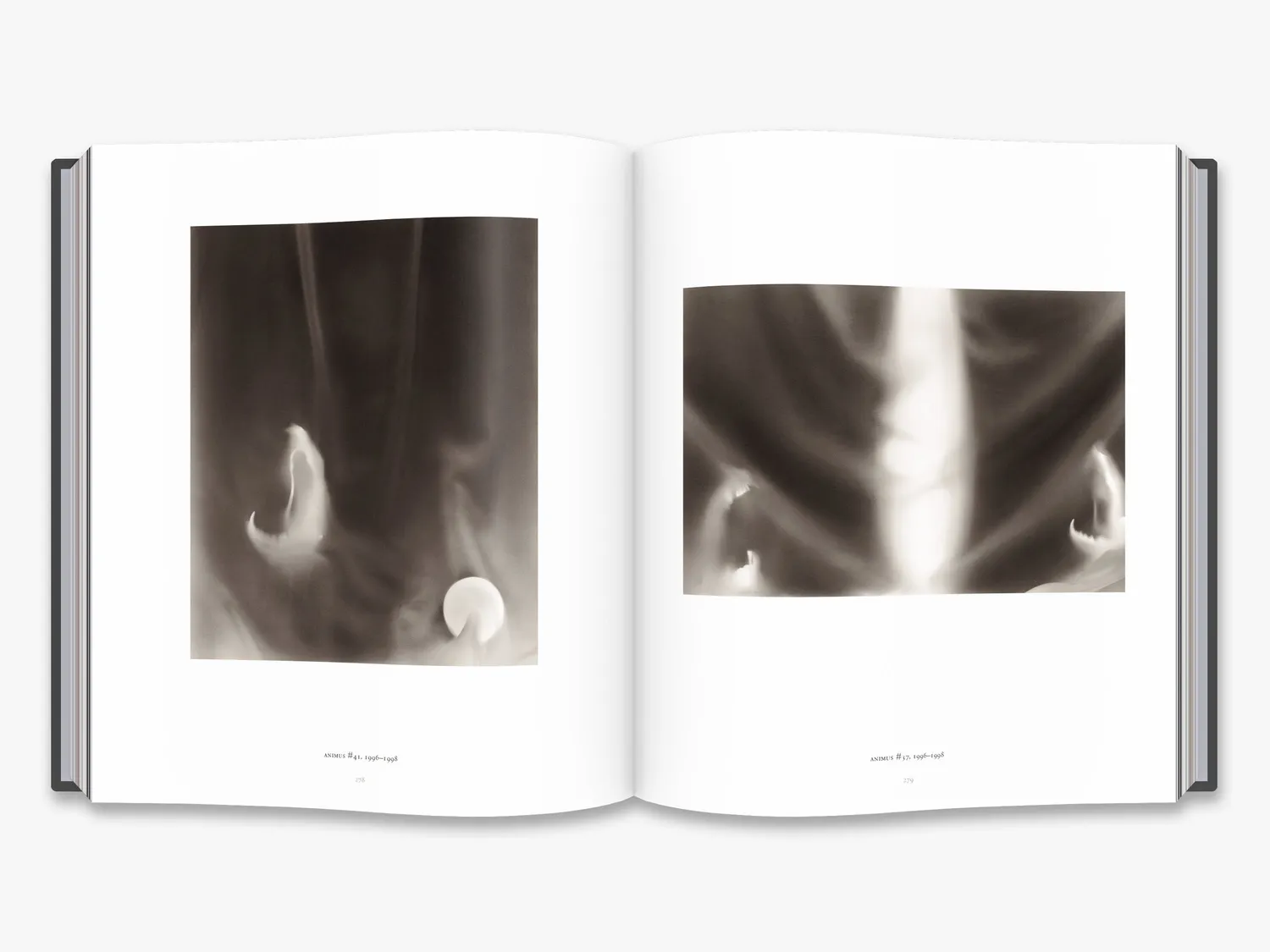 Thames & Hudson Skull Lynn Stern fotobog kranier