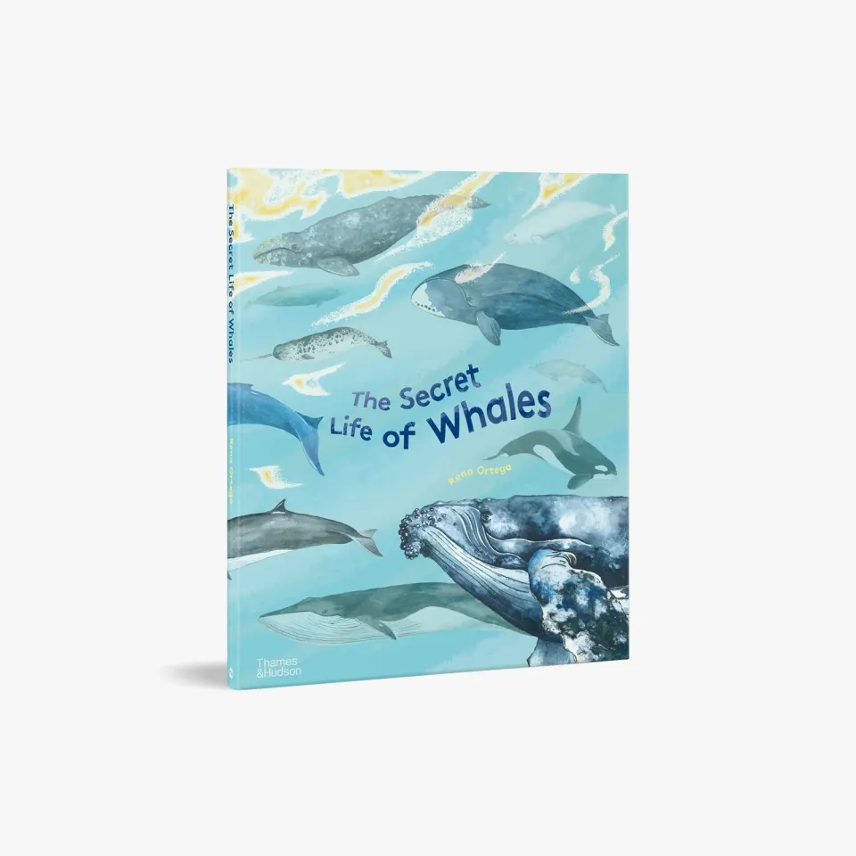 Thames & Hudson The Secret Life of Whales hvalbog